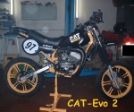cat-mofa-2-generation-bj-2002
