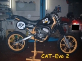 cat-mofa-2-generation-bj-2002