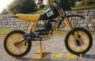 cat-mofa-1-generation-bj-2001